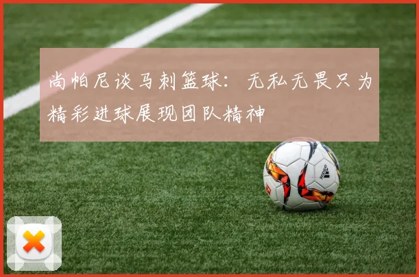 尚帕尼谈马刺篮球：无私无畏只为精彩进球展现团队精神