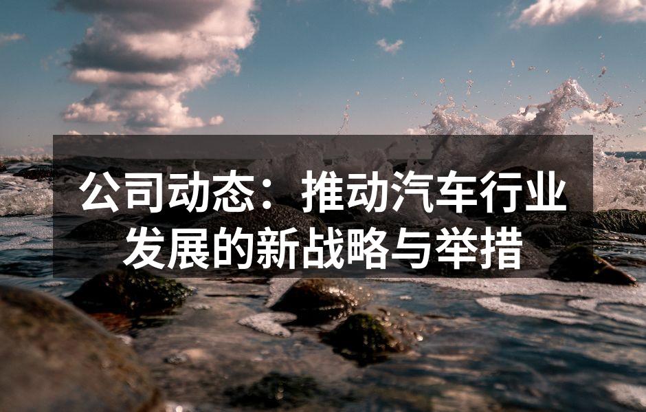 公司新研发的智能驾驶系统展示