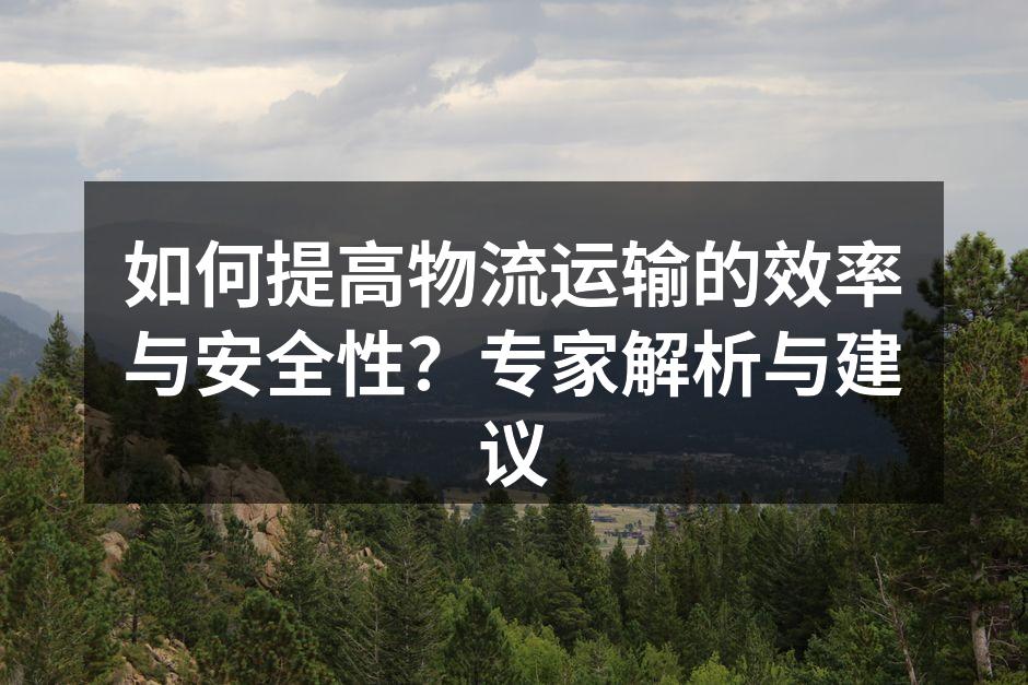 现代物流运输的高效管理